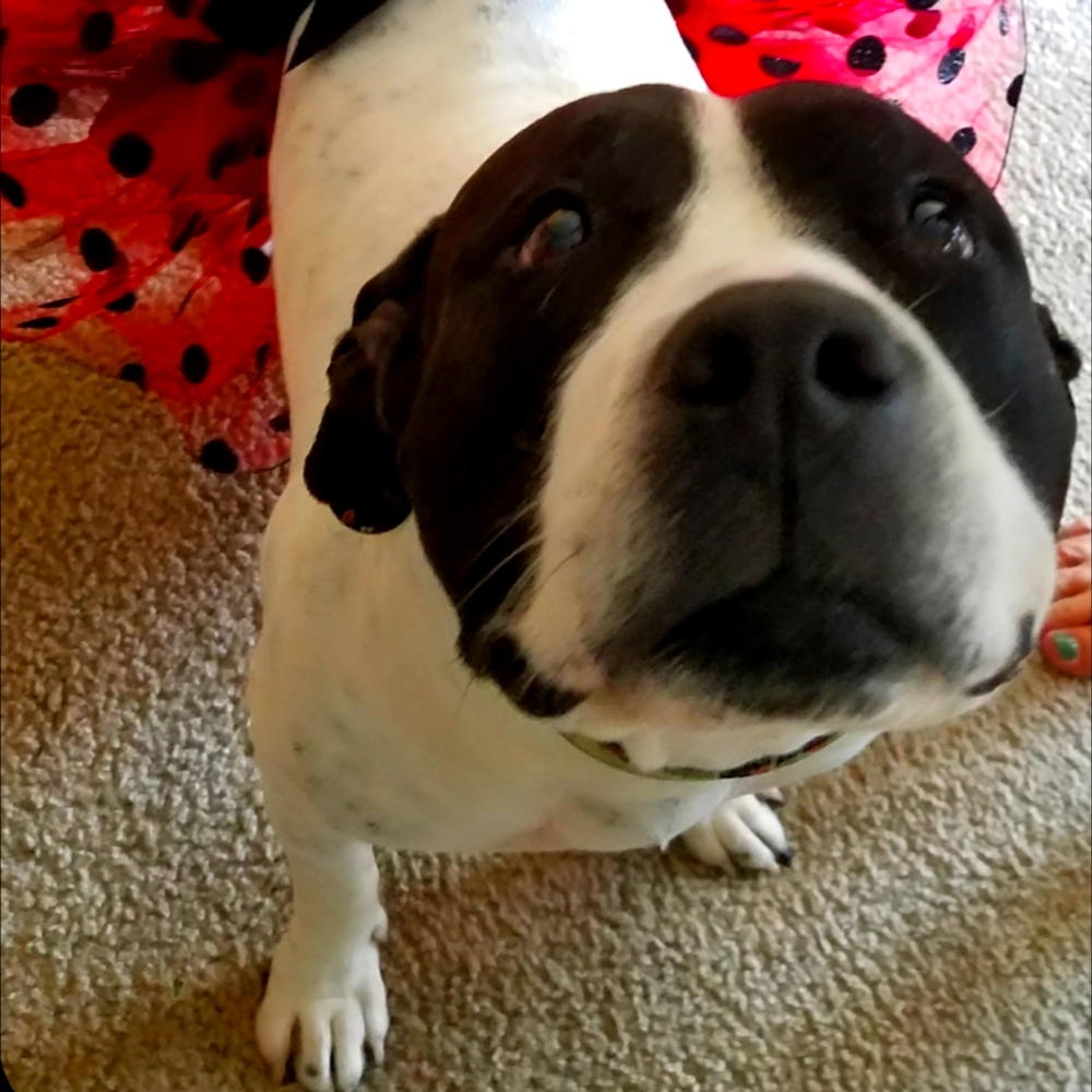 Meet your Posher, Emily Ann